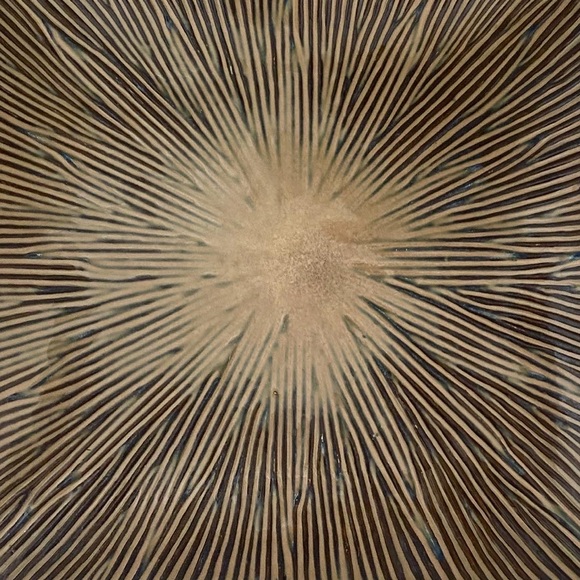 Ceramic plate - Picture 3 of 5